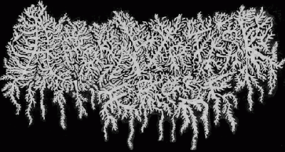 logo Apocalyptic Frost